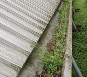 Happy customers in Berkhamsted who trust The Roof Moss Cleaners for gutter cleaning services