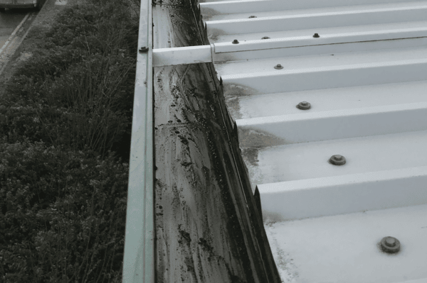 Commercial gutter cleaning specialists in Berkhamsted
